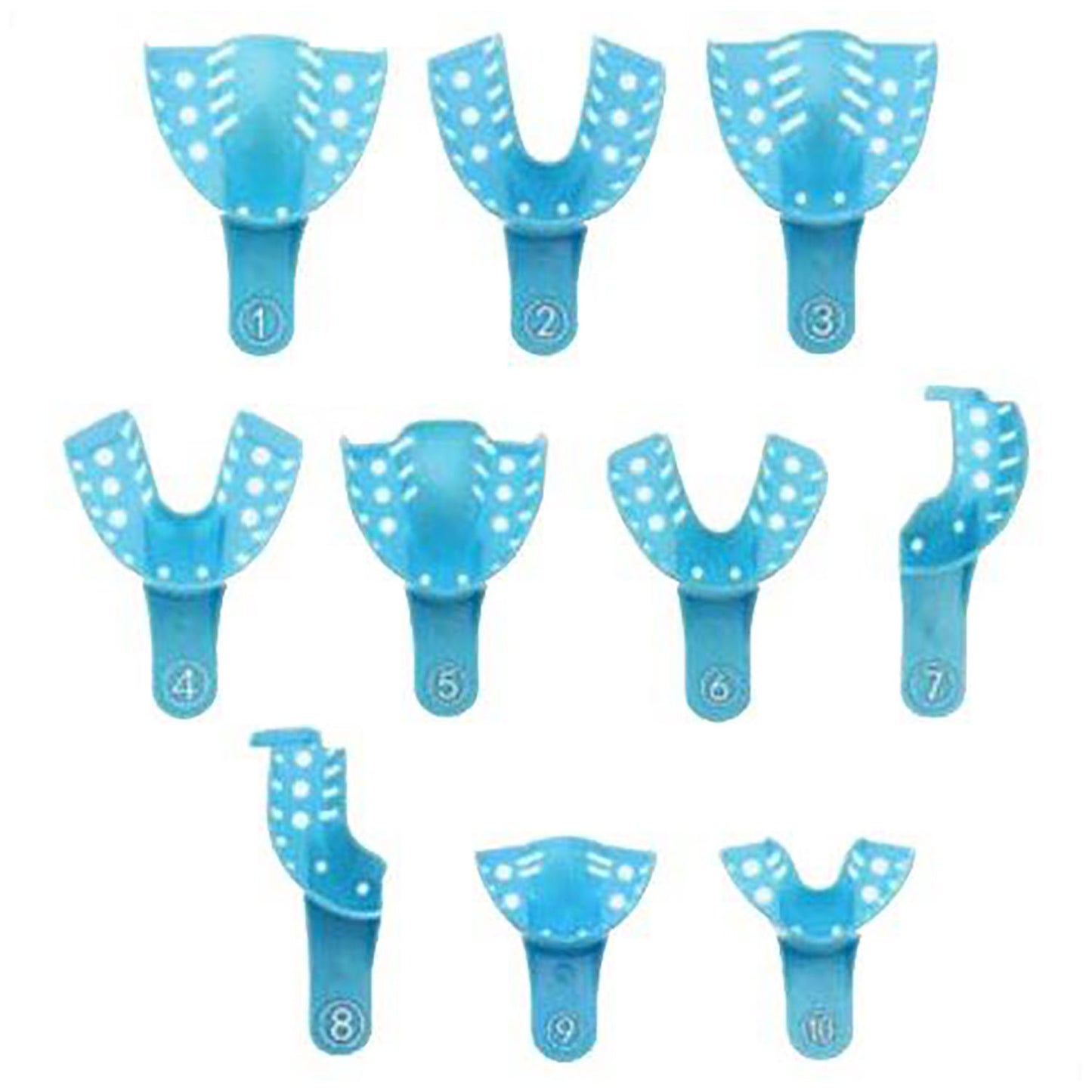 BLU-TRAY Impression Trays, Perforated Assorted , 12/bg (4pc med, 2 pc of each other size)