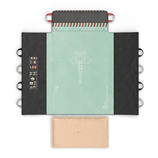 Tortoise® Sling System, Standard, Includes PAD and Positioner, 1/cs
