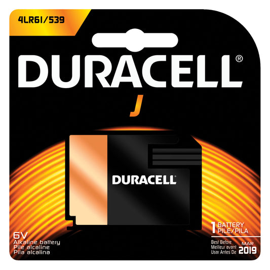 Battery, Alkaline, Size J, 6V, 6/bx (UPC# 66198)